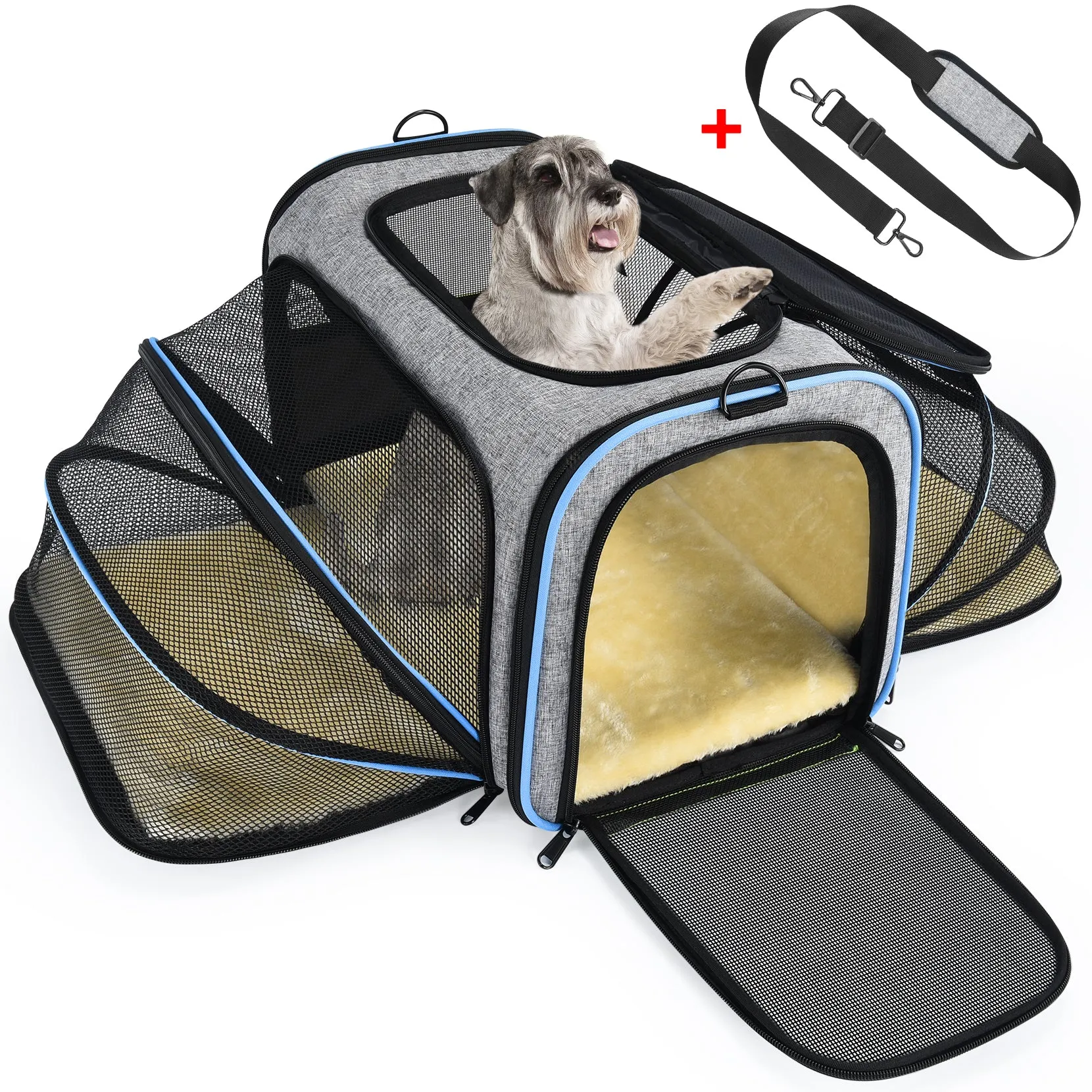 069A Pet Carrier Airline Approved