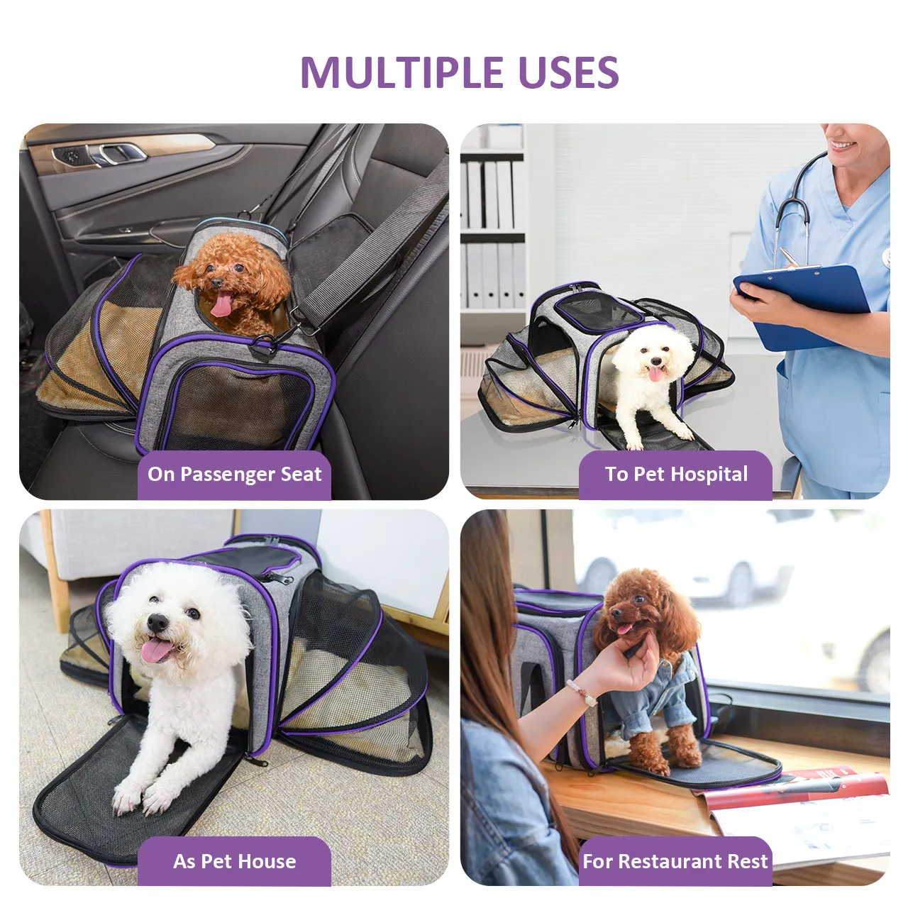 069A Pet Carrier Airline Approved