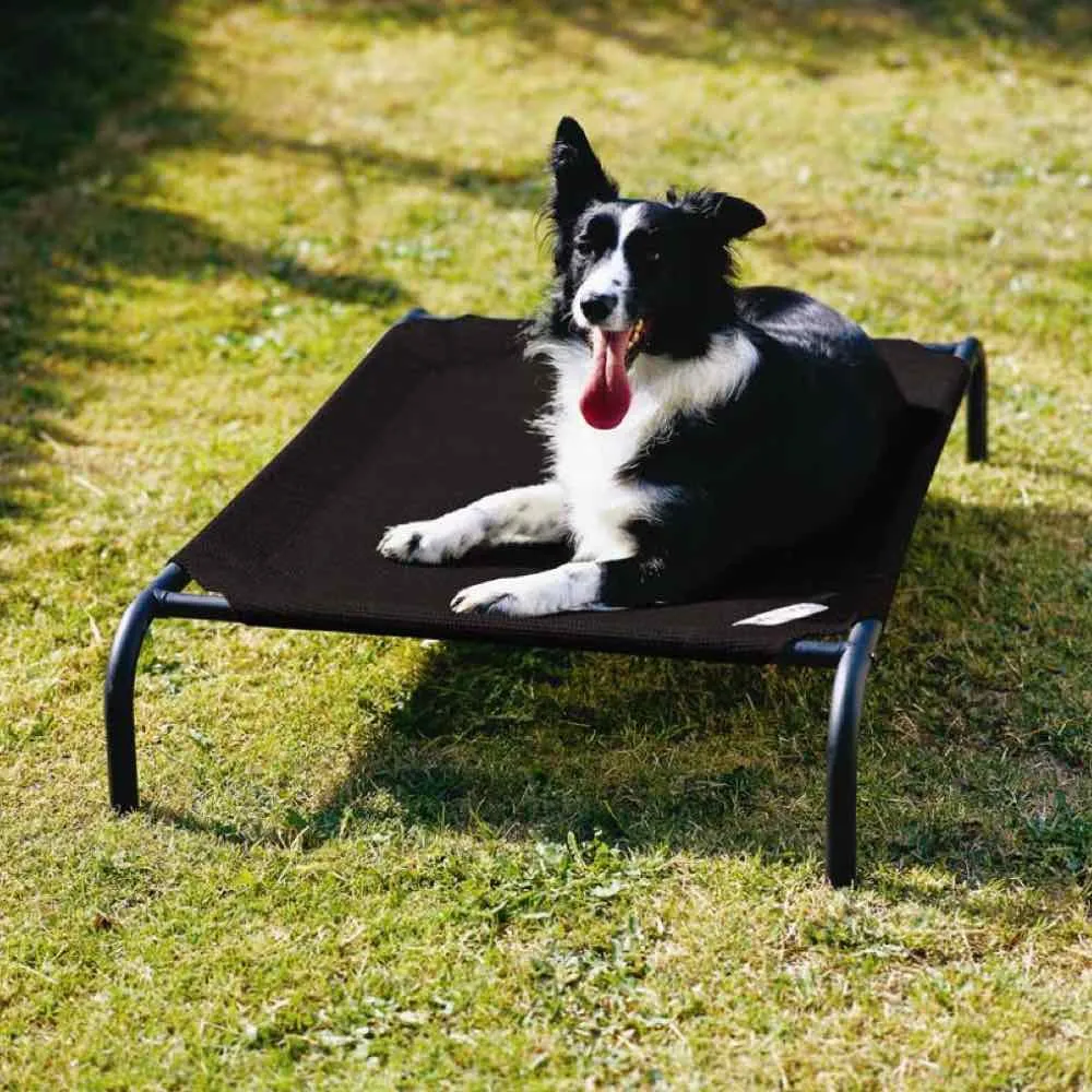 15% OFF: Coolaroo Elevated Knitted Fabric Pet Bed - Charcoal Black