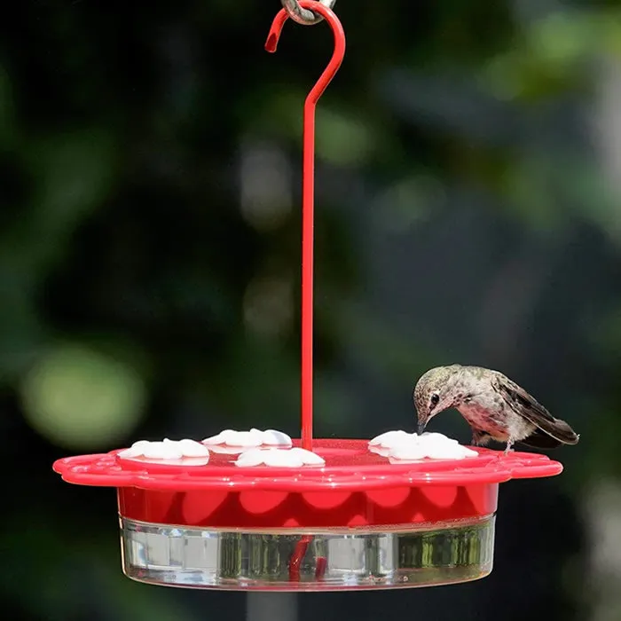 2-in-1 Plastic Dish Hummingbird Feeder