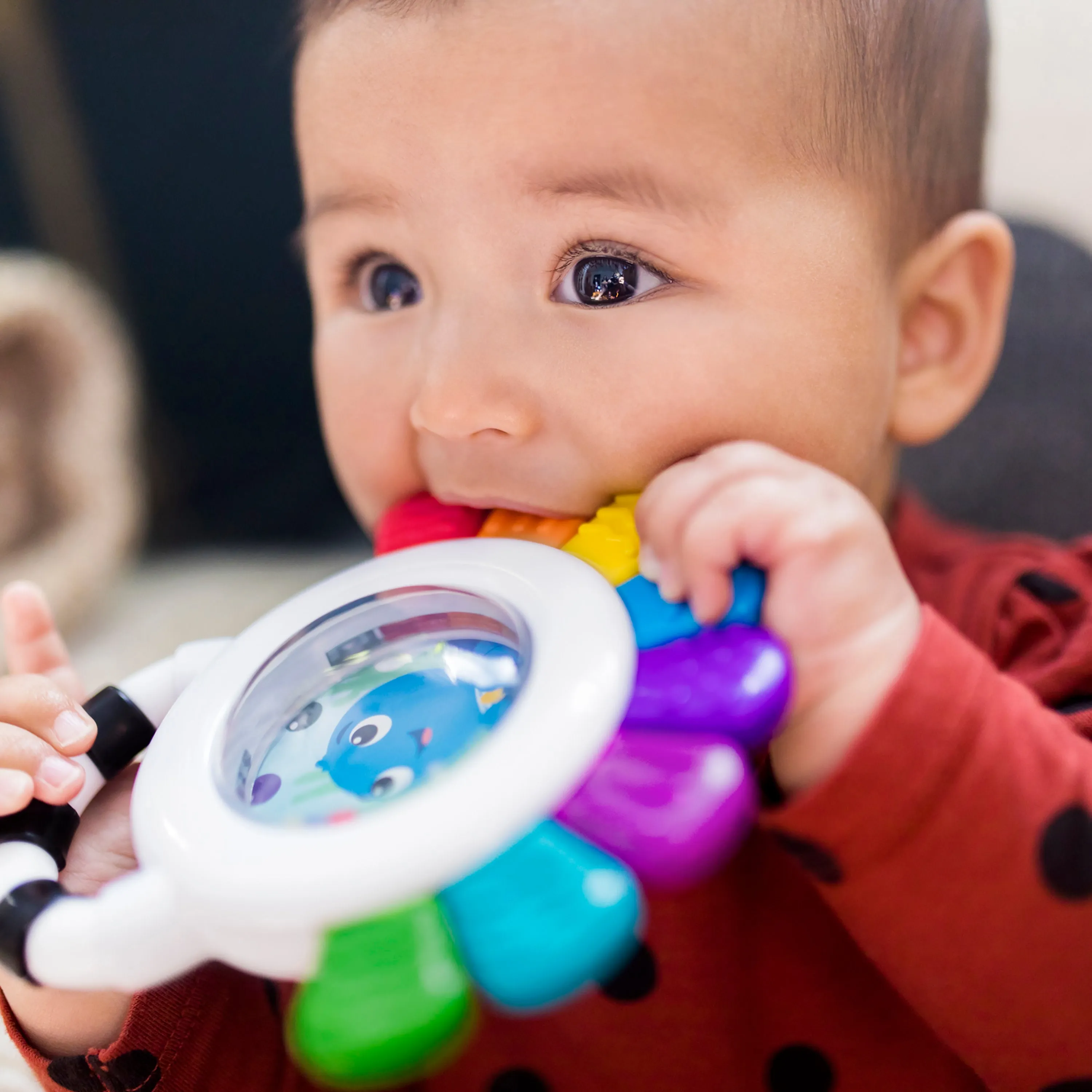 Baby Einstein Outstanding Opus the Octopus Rattle & Teether Sensory Toy