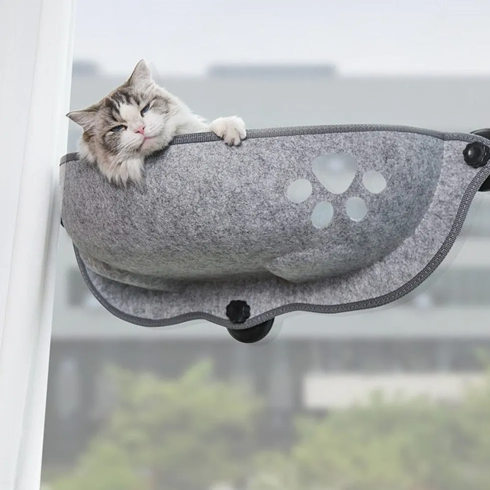 Cat Window Shelf Bed