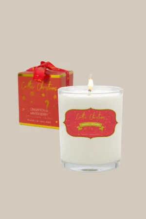 Cinnamon & Winter Berry Candle