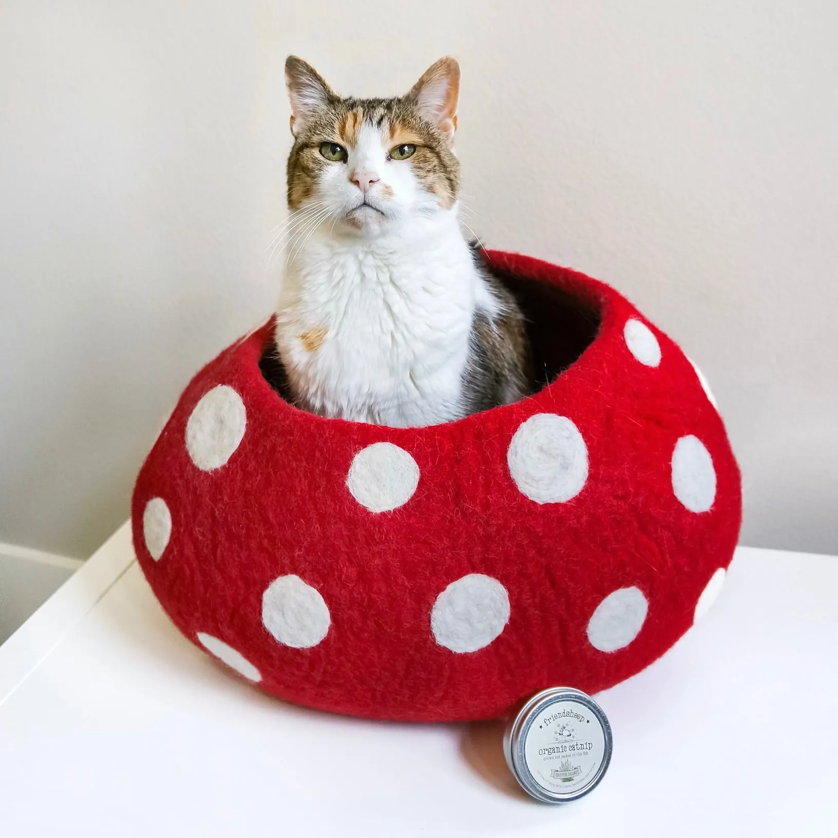 Mushroom Eco Kitty Cave - Red