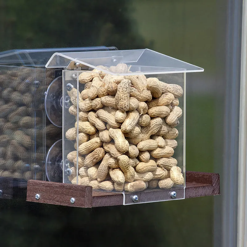 Pandora's Box Window Squirrel Feeder