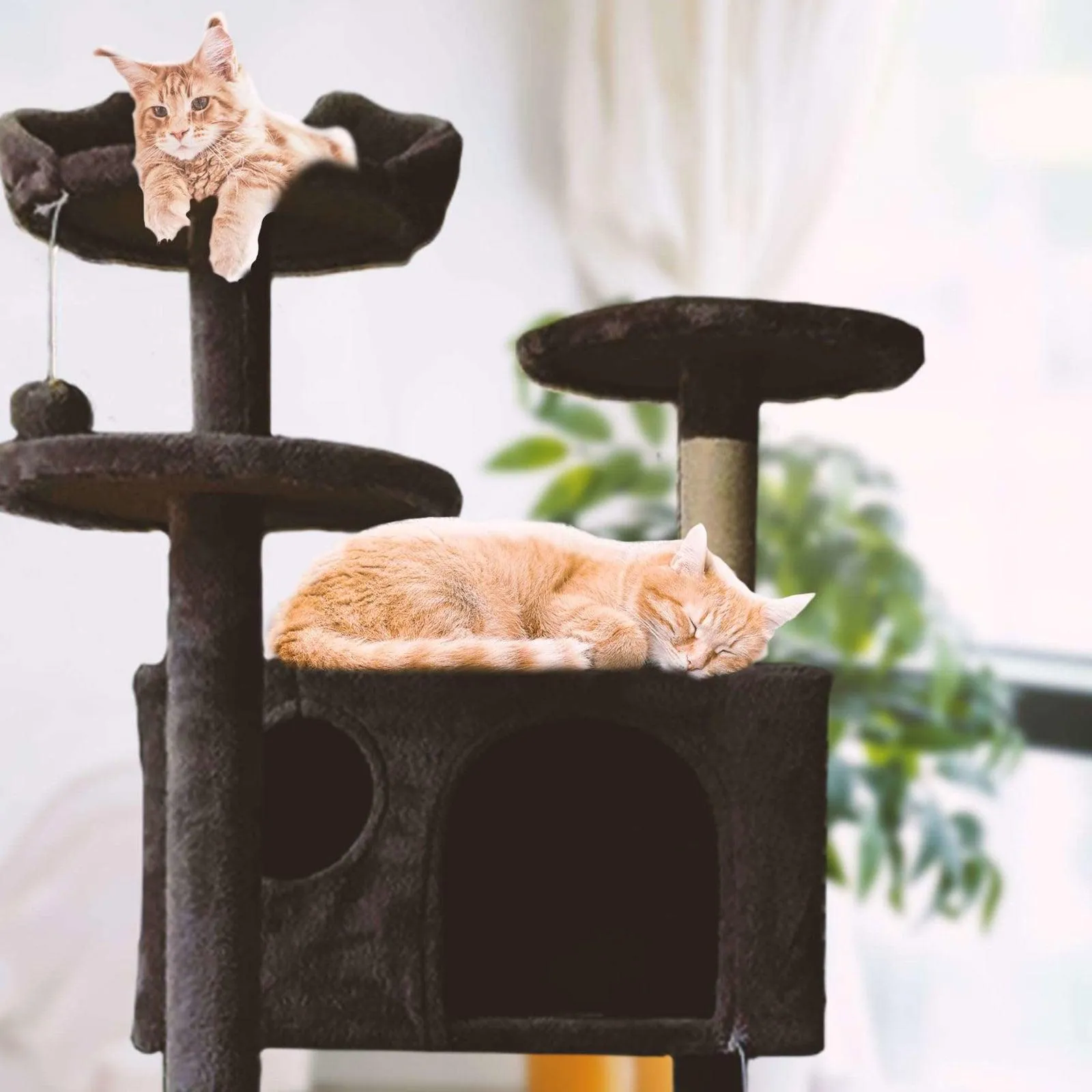 SG Traders™ Cat Tree Tower