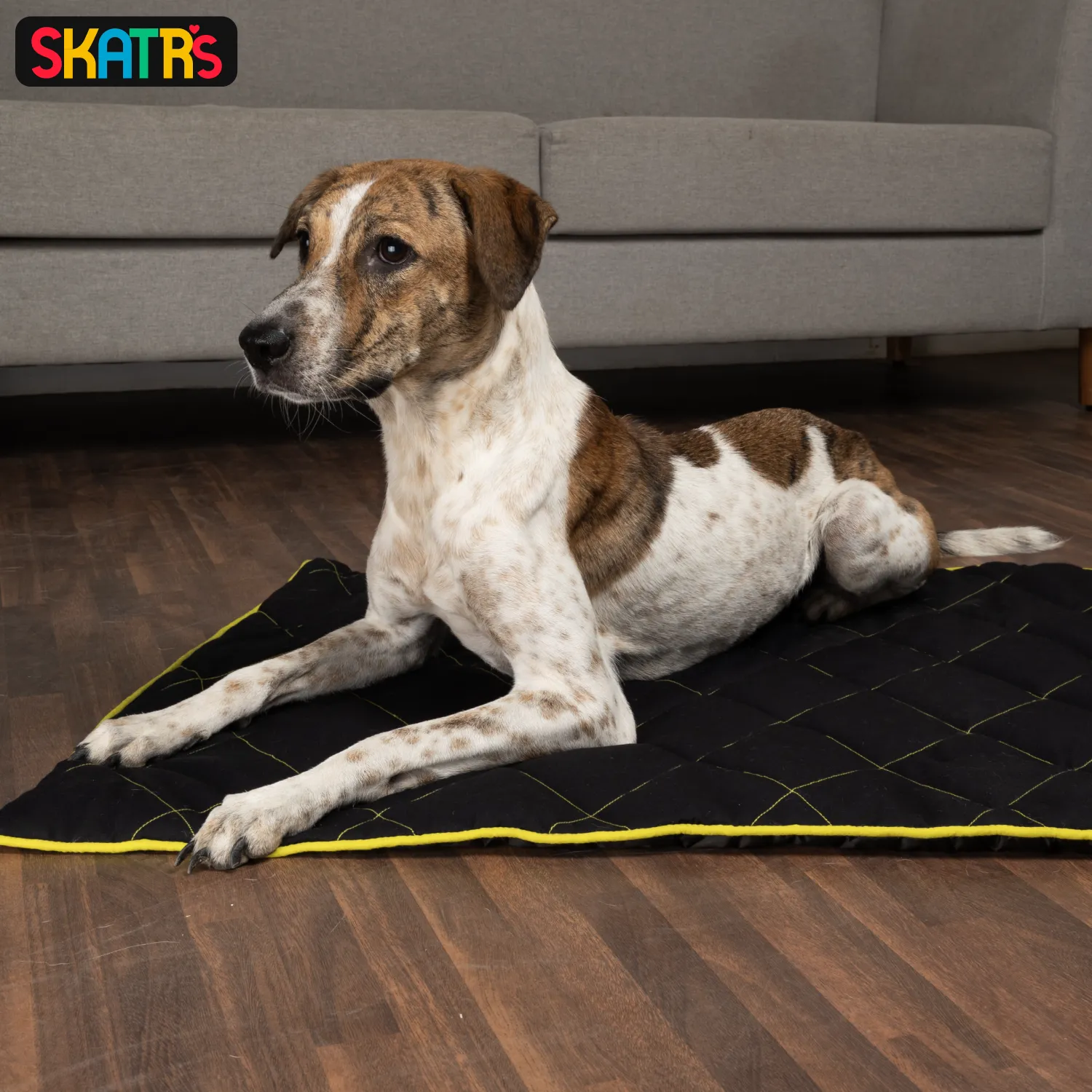 Skatrs Foldable Quilted Mat for Dogs and Cats (Black)